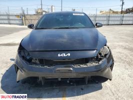 Kia Pozostałe 2024 2