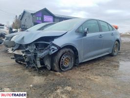 Toyota Corolla - zobacz ofertę