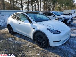 Tesla Model Y 2020