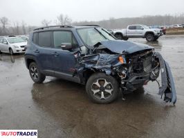 Jeep Renegade 2021 1