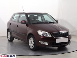 Skoda Fabia 2010 1.2 84 KM