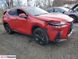 Lexus NX 2024 2