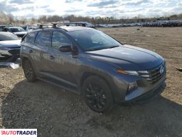 Hyundai Tucson 2024 2