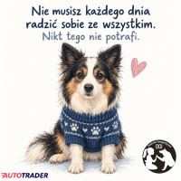Usługi motoryzacyjne - Pozostałe