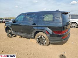 Hyundai Santa Fe 2024 2