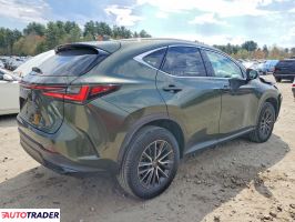 Lexus NX 2024 2
