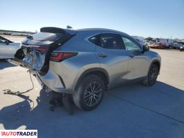 Lexus NX 2024 2