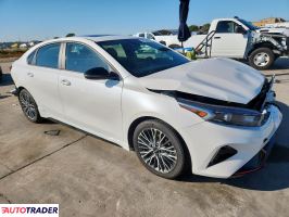 Kia Pozostałe 2024 2