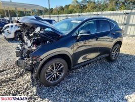 Lexus NX 2024 2