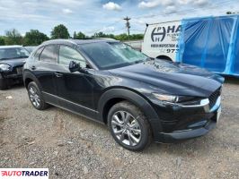 Mazda CX-30 2024 2 Mazda CX-30 2024 2