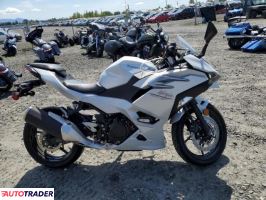 Kawasaki Pozostałe 2025 Kawasaki Pozostałe 2025