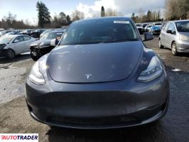 Tesla Model Y 2021 Tesla Model Y 2021