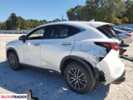 Lexus NX 2025 2