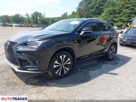 Lexus NX 2020 2