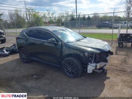Lexus NX 2024 2