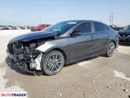 Kia Pozostałe 2024 2