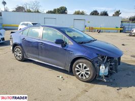 Toyota Corolla 2020 1