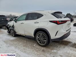 Lexus NX 2022 2
