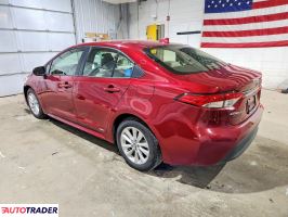 Toyota Corolla 2025 1