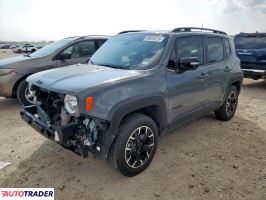 Jeep Renegade 2023 1