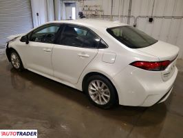 Toyota Corolla 2020 1