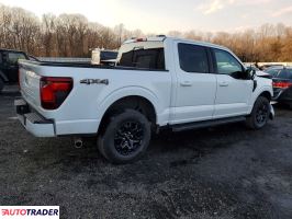 Ford Pozostałe 2024 3