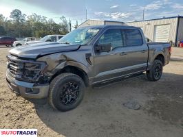 Ford Pozostałe 2024 3