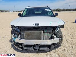 Hyundai Santa Fe 2024 2