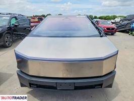 Tesla Pozostałe 2024