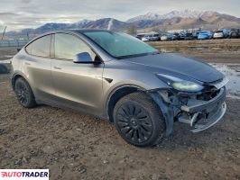 Tesla Model Y 2025