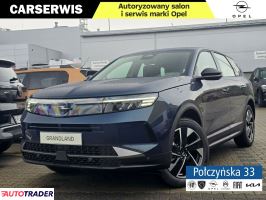 Opel Grandland X - zobacz ofertę