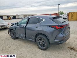 Lexus NX 2024 2