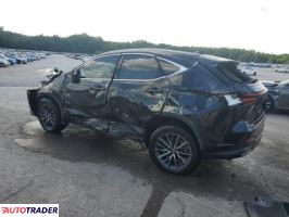 Lexus NX 2023 2
