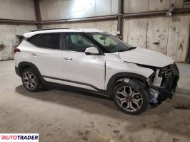 Kia Pozostałe 2021 1 Kia Pozostałe 2021 1