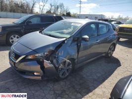 Nissan Leaf 2019