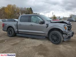 Ford Pozostałe 2024 3