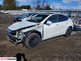 Tesla Model Y - zobacz ofertę