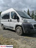 Fiat Ducato - zobacz ofertę