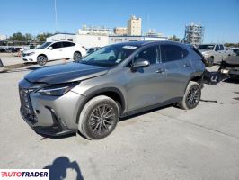 Lexus NX 2024 2