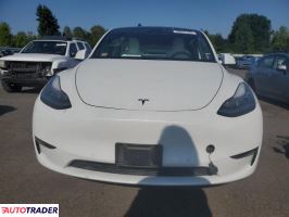 Tesla Model Y 2020