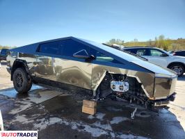 Tesla Pozostałe 2025