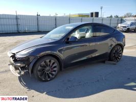 Tesla Model Y 2024