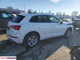 Audi Q5 2021 2