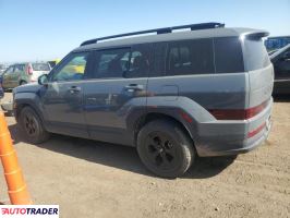 Hyundai Santa Fe 2024 2