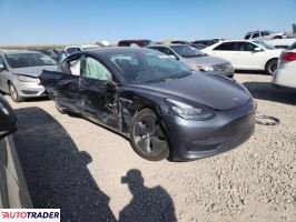 Tesla Model 3 2021 Tesla Model 3 2021