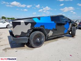 Tesla Pozostałe 2024