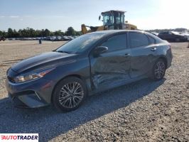 Kia Pozostałe 2024 2