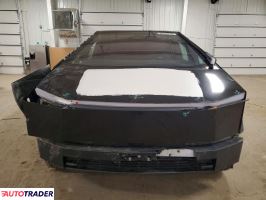 Tesla Pozostałe 2024