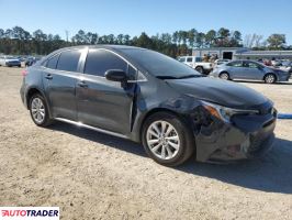 Toyota Corolla 2024 1