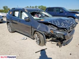 Jeep Cherokee 2020 2
